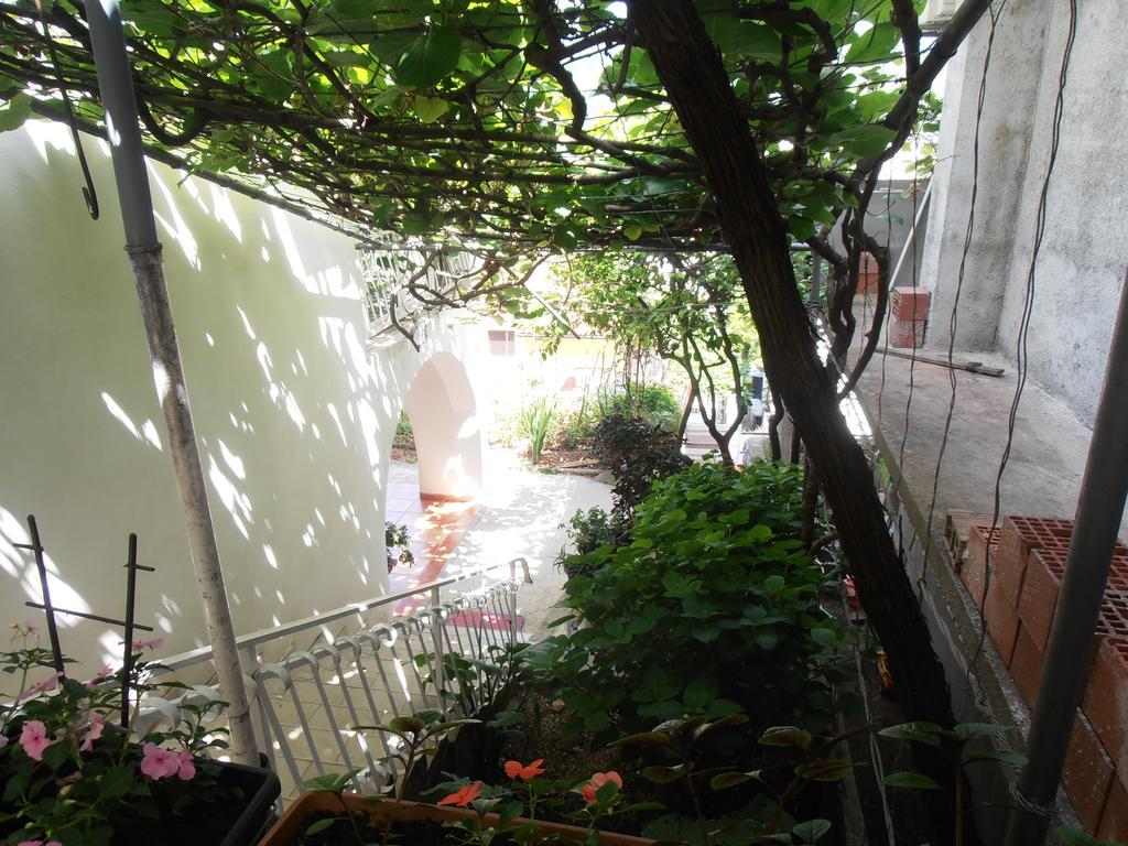 Apartment Zeljko Vujovic